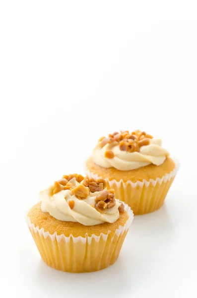 Noten cupcake geïsoleerd op witte achtergrond — Stockfoto