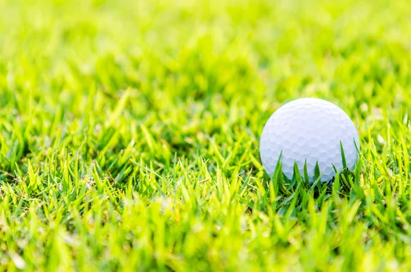 Μπάλα του γκολφ στο πράσινο γρασίδι — Φωτογραφία Αρχείου