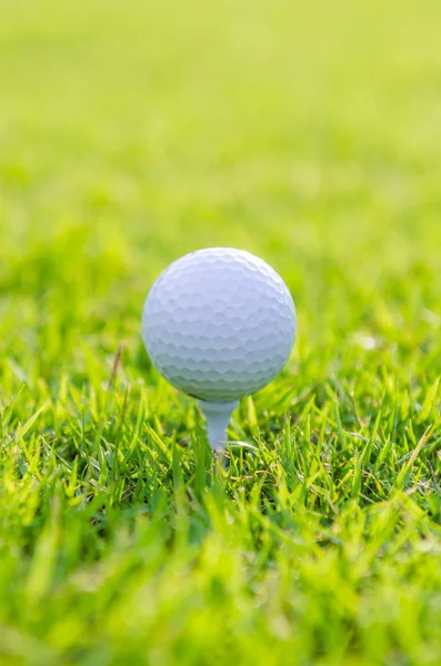 Golfball auf grünem Rasen — Stockfoto