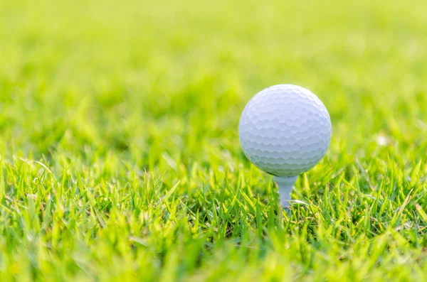 Golfball auf grünem Rasen — Stockfoto