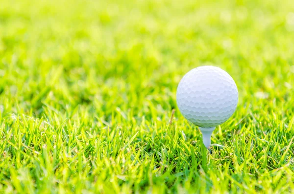 Golfball auf grünem Rasen — Stockfoto