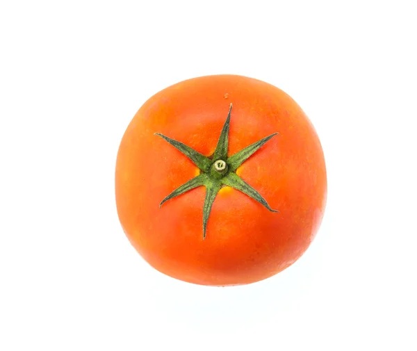 Tomate — Fotografia de Stock