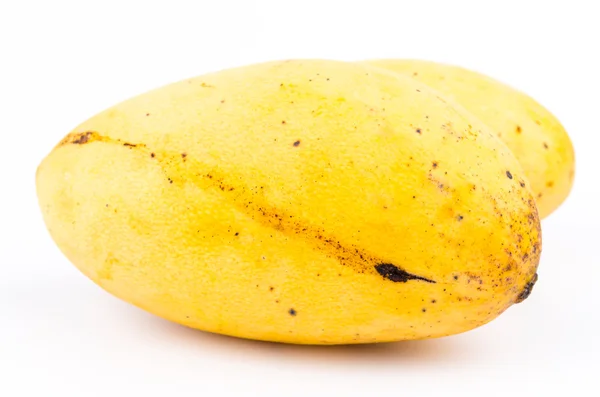 Sárga mangó — Stock Fotó