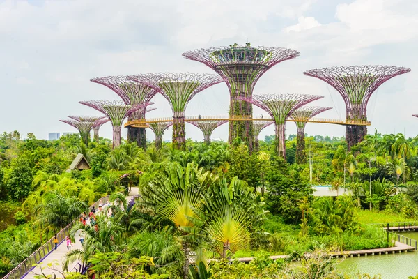 Garden by the bay — Stock Photo, Image