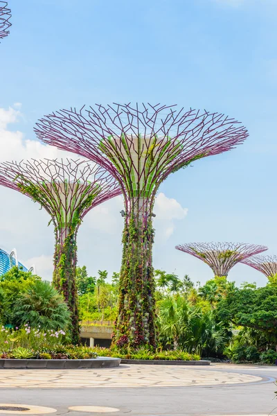 Garden by the bay — Stock Photo, Image