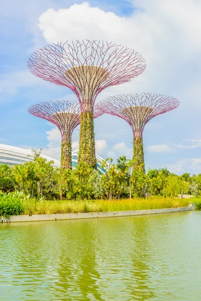 Giardino vicino alla baia — Foto Stock