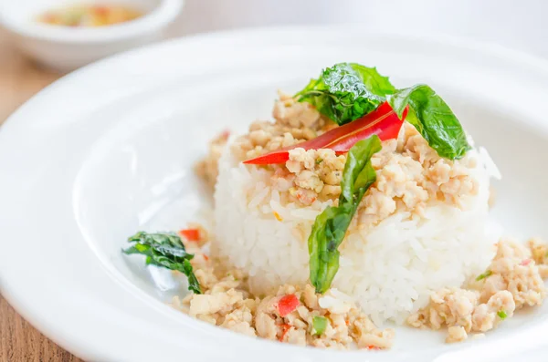 Ayam goreng pedas dan nasi — Stok Foto