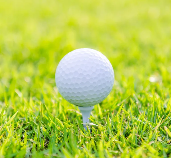 Гольф мяч на зеленой траве — стоковое фото