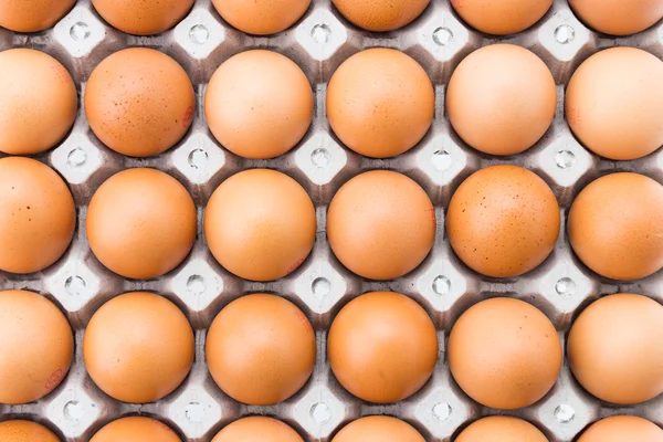 Chicken eggs — Stock Photo, Image