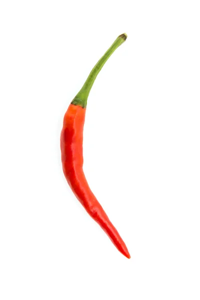 Red Chilli — Stock Photo, Image