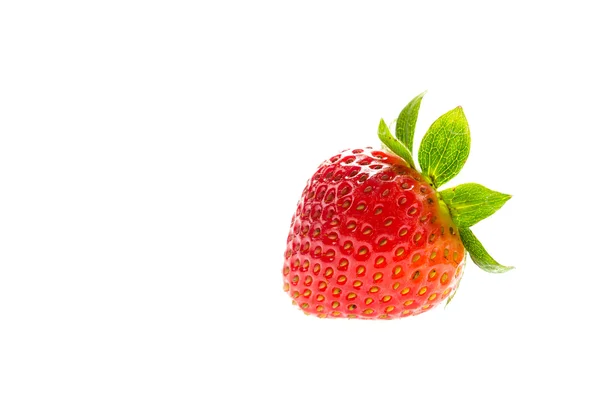 Fragola — Foto Stock