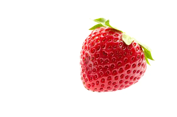 Fragola — Foto Stock