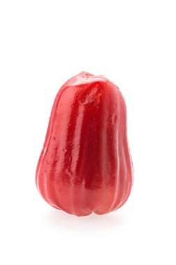 Gül beyaz izole elma