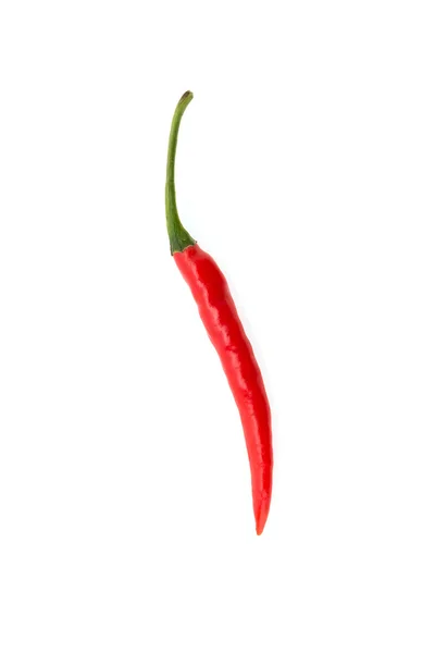 Chilli isolado em branco — Fotografia de Stock