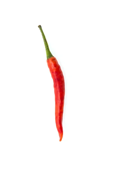 Chilli isolado em branco — Fotografia de Stock