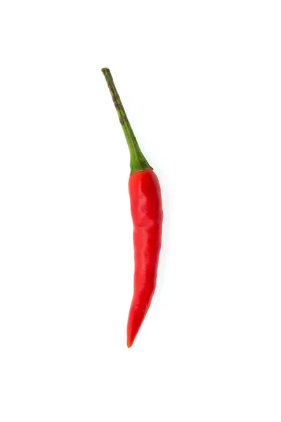 Chilli isolado em branco — Fotografia de Stock