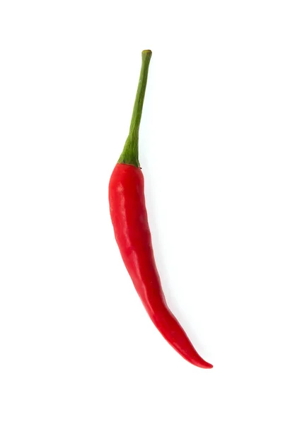 Chilli изолированы на белом — стоковое фото