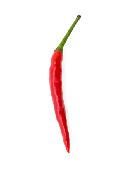 Spaanse peper geïsoleerd op wit — Stockfoto