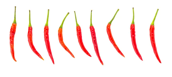 Chilli isolated on white — Stock Photo, Image