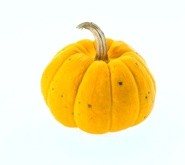 Calabaza aislada en blanco —  Fotos de Stock