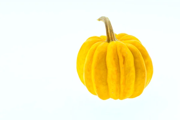 Calabaza aislada en blanco —  Fotos de Stock