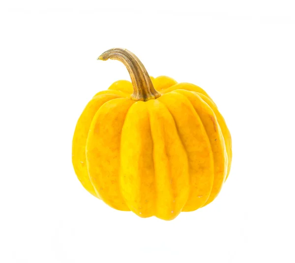 Calabaza aislada en blanco — Foto de Stock