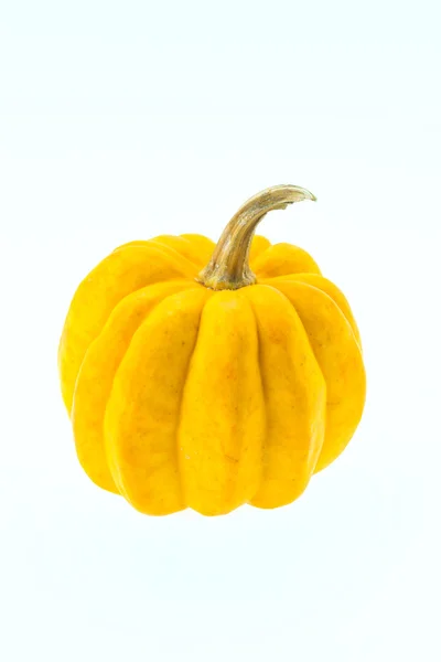 Zucca isolata su bianco — Foto Stock