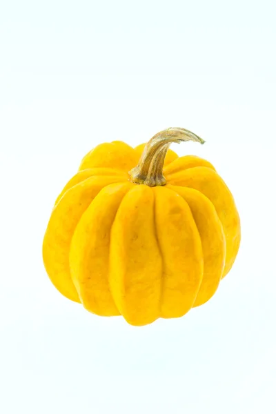 Calabaza aislada en blanco —  Fotos de Stock