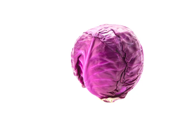 Cabbage isolated on white — Stock Photo, Image