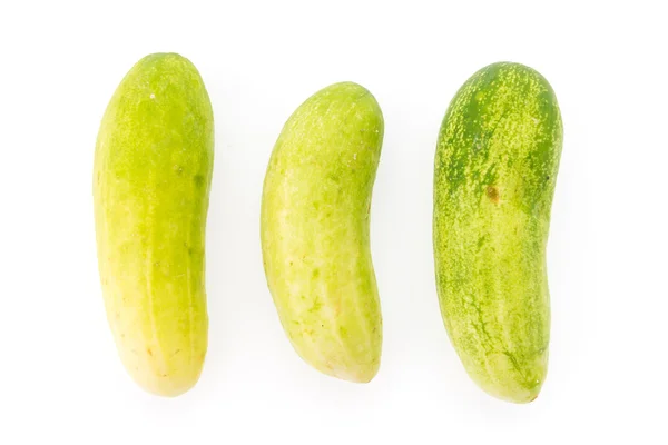 Pepino — Foto de Stock