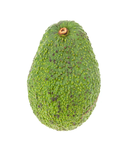 Avocado isolato su bianco — Foto Stock