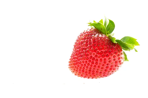 Fragola fresca — Foto Stock