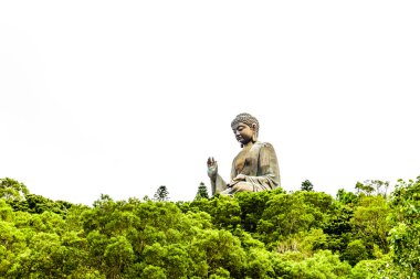 Hong Kong'da Buda