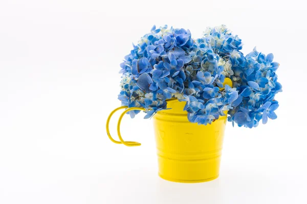 Hortensia blombukett isolerade — Stockfoto