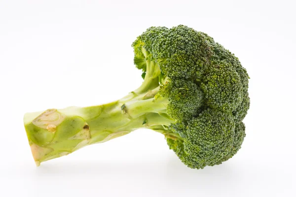 Broccoli isolerad på vitt — Stockfoto