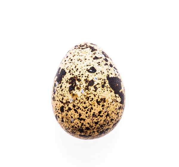 Quail eggs isolated — Stock Photo, Image