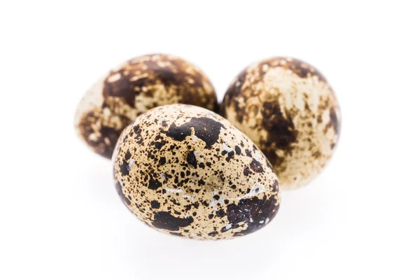 Huevos de codorniz aislados —  Fotos de Stock