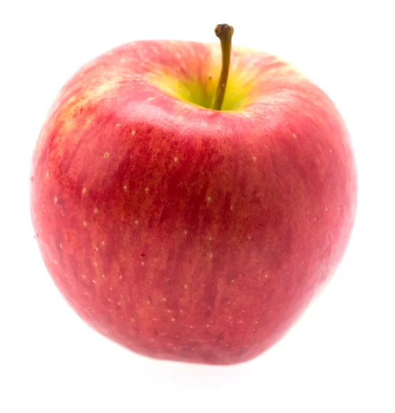 Apple isoliert auf Weiß — Stockfoto