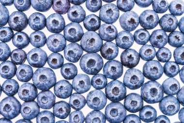 yaban mersini arka plan