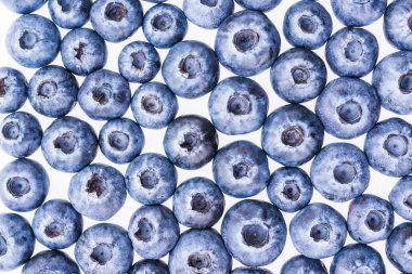 yaban mersini arka plan