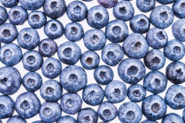 yaban mersini arka plan