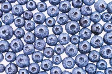 yaban mersini arka plan