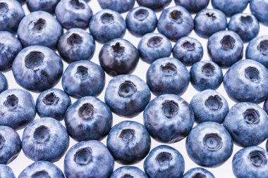 yaban mersini arka plan