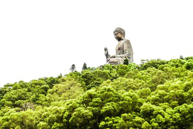 Hong Kong'da Buda