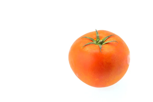 Tomate fresco — Fotografia de Stock