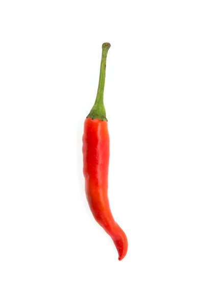 Red Chilli — Stock Photo, Image