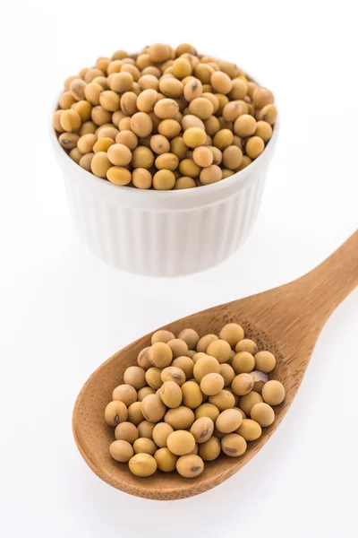 Healthy soybean — Stock Photo, Image