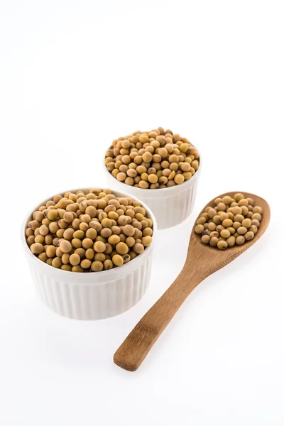 Healthy soybean — Stock Photo, Image