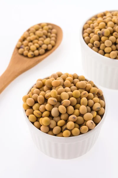 Healthy soybean — Stock Photo, Image