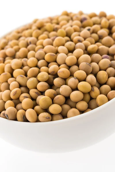 Healthy soybean — Stock Photo, Image